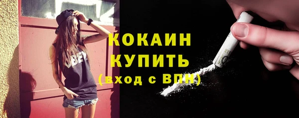 стаф Горняк