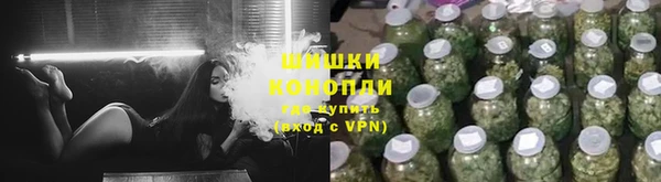 стаф Горняк