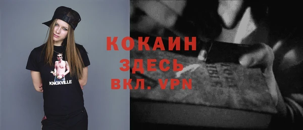 стаф Горняк