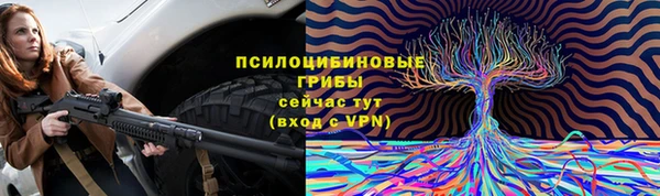 Альфа ПВП Горно-Алтайск