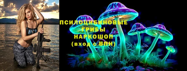 бутират Горнозаводск